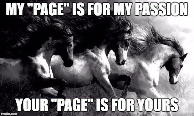 Horse Love | MY "PAGE" IS FOR MY PASSION; YOUR "PAGE" IS FOR YOURS | image tagged in horses | made w/ Imgflip meme maker