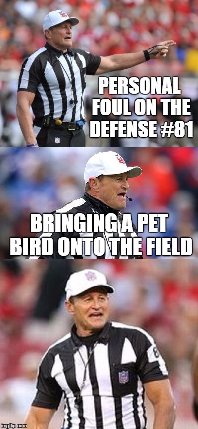 personal fowl | PERSONAL FOUL ON THE DEFENSE #81; BRINGING A PET BIRD ONTO THE FIELD | image tagged in funny,memes,ed hochuli,bad pun,bad pun ed hochuli,football | made w/ Imgflip meme maker