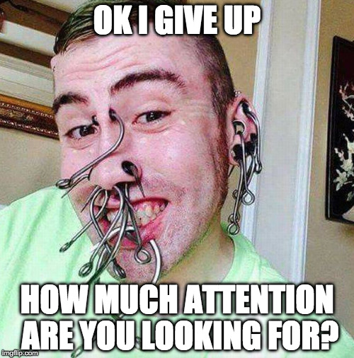 Seeking attention much? | OK I GIVE UP; HOW MUCH ATTENTION ARE YOU LOOKING FOR? | image tagged in i need attention,college liberal,piercings,creepy condescending wonka,maybehedidn'tgethuggedenoughasachild | made w/ Imgflip meme maker