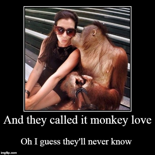 image tagged in funny,demotivationals | made w/ Imgflip demotivational maker