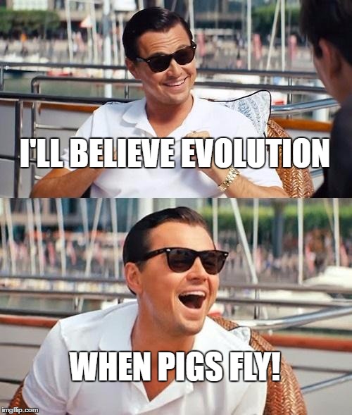 seems legit | I'LL BELIEVE EVOLUTION; WHEN PIGS FLY! | image tagged in memes,leonardo dicaprio wolf of wall street | made w/ Imgflip meme maker