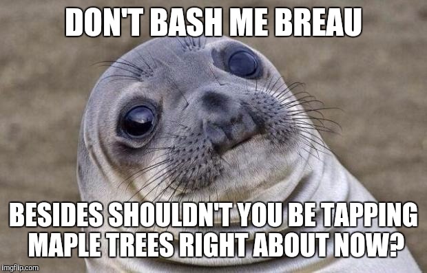 Awkward Moment Sealion | DON'T BASH ME BREAU; BESIDES SHOULDN'T YOU BE TAPPING MAPLE TREES RIGHT ABOUT NOW? | image tagged in memes,awkward moment sealion | made w/ Imgflip meme maker
