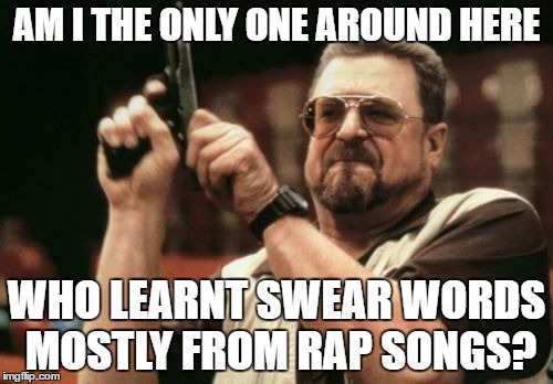 Am I The Only One Around Here | AM I THE ONLY ONE AROUND HERE; WHO LEARNT SWEAR WORDS MOSTLY FROM RAP SONGS? | image tagged in memes,am i the only one around here | made w/ Imgflip meme maker