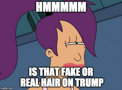 Futurama Leela | HMMMMM; IS THAT FAKE OR REAL HAIR ON TRUMP | image tagged in memes,futurama leela | made w/ Imgflip meme maker