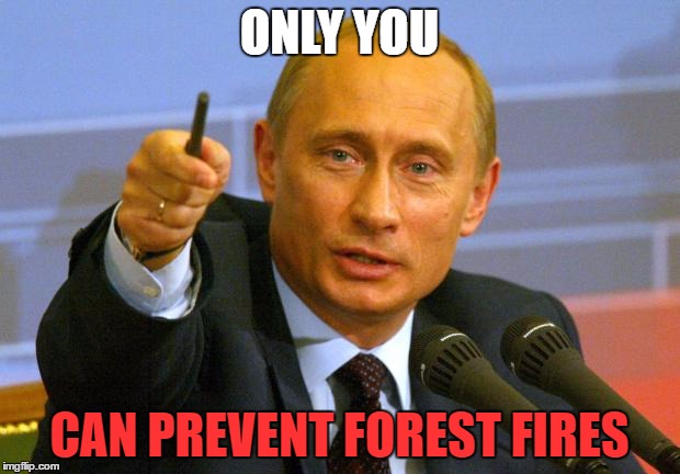 Good Guy Putin Meme | ONLY YOU; CAN PREVENT FOREST FIRES | image tagged in memes,good guy putin | made w/ Imgflip meme maker