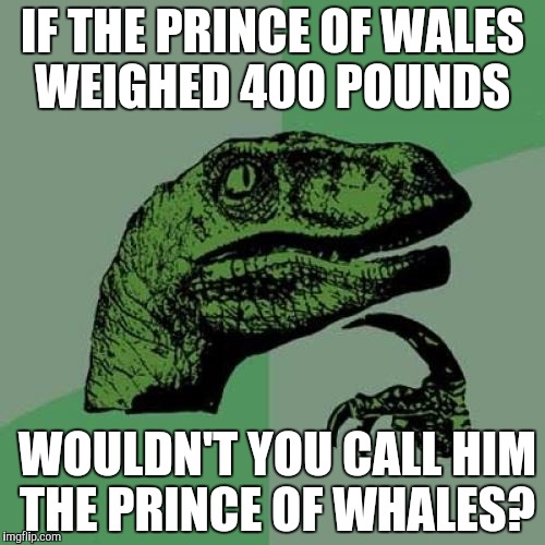 Philosoraptor | IF THE PRINCE OF WALES WEIGHED 400 POUNDS; WOULDN'T YOU CALL HIM THE PRINCE OF WHALES? | image tagged in memes,philosoraptor | made w/ Imgflip meme maker