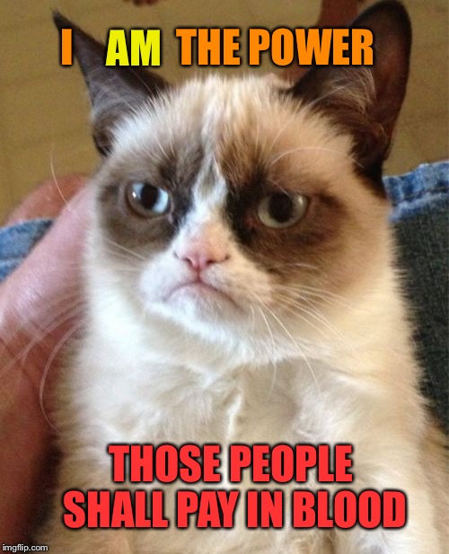 Grumpy Cat Meme | I             THE POWER THOSE PEOPLE SHALL PAY IN BLOOD AM | image tagged in memes,grumpy cat | made w/ Imgflip meme maker