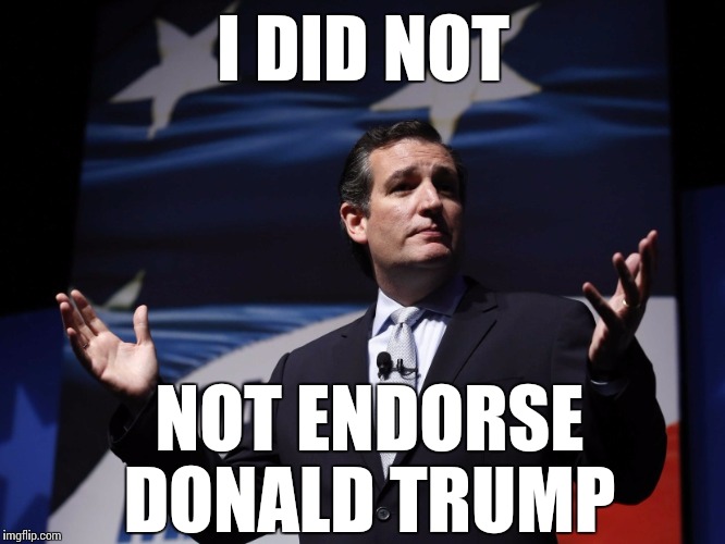 Ted's Trump Endorsement  | I DID NOT; NOT ENDORSE DONALD TRUMP | image tagged in things ted cruz never said,republican national convention | made w/ Imgflip meme maker