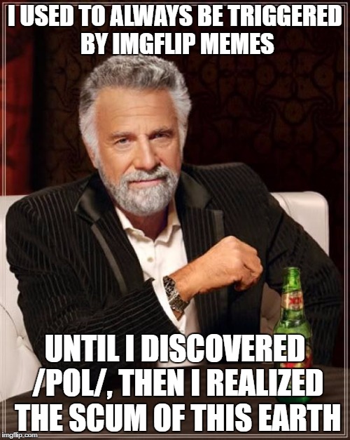 The Most Interesting Man In The World Meme | I USED TO ALWAYS BE TRIGGERED BY IMGFLIP MEMES; UNTIL I DISCOVERED /POL/, THEN I REALIZED THE SCUM OF THIS EARTH | image tagged in memes,the most interesting man in the world | made w/ Imgflip meme maker