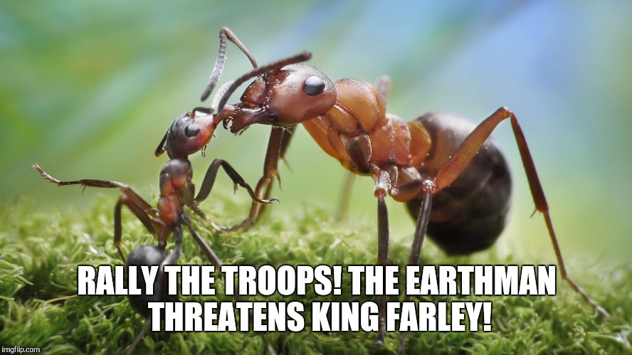 RALLY THE TROOPS! THE EARTHMAN THREATENS KING FARLEY! | made w/ Imgflip meme maker