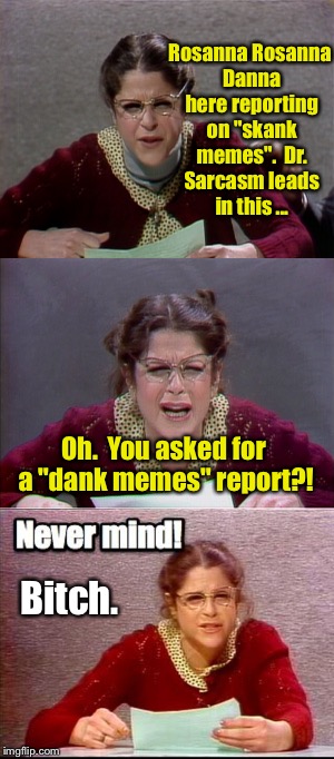 Another Saturday Night Live report - | Rosanna Rosanna Danna here reporting on "skank memes".  Dr. Sarcasm leads in this ... Oh.  You asked for a "dank memes" report?! Bitch. | image tagged in memes,drsarcasm,dank memes,snl,rosanna rosanna dana,skank memes | made w/ Imgflip meme maker