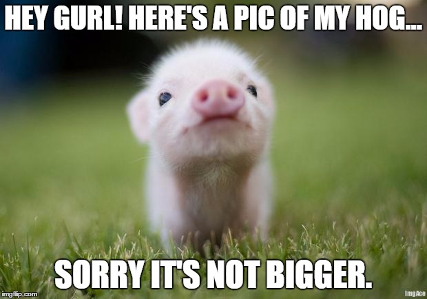 piglet | HEY GURL! HERE'S A PIC OF MY HOG... SORRY IT'S NOT BIGGER. | image tagged in piglet | made w/ Imgflip meme maker