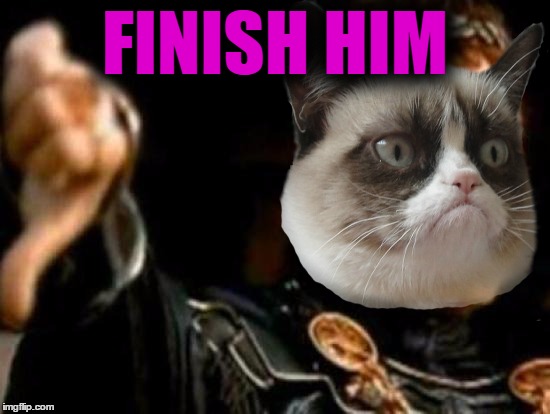 FINISH HIM | made w/ Imgflip meme maker