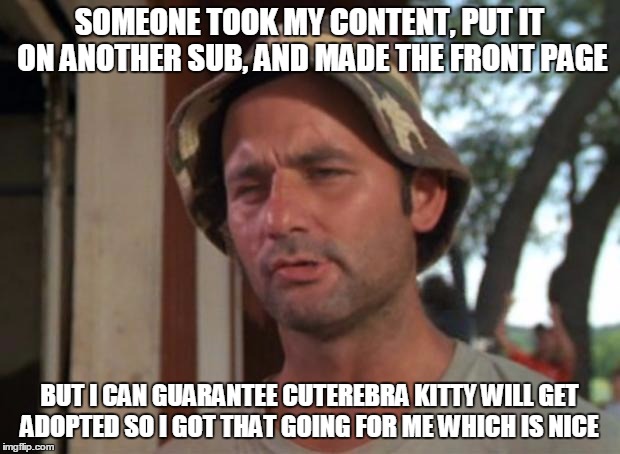 So I Got That Goin For Me Which Is Nice Meme | SOMEONE TOOK MY CONTENT, PUT IT ON ANOTHER SUB, AND MADE THE FRONT PAGE; BUT I CAN GUARANTEE CUTEREBRA KITTY WILL GET ADOPTED SO I GOT THAT GOING FOR ME WHICH IS NICE | image tagged in memes,so i got that goin for me which is nice | made w/ Imgflip meme maker