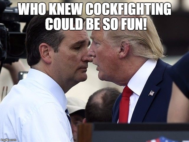TRUMP CRUZ | WHO KNEW COCKFIGHTING COULD BE SO FUN! | image tagged in trump cruz | made w/ Imgflip meme maker