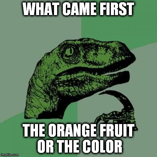 Philosoraptor | WHAT CAME FIRST; THE ORANGE FRUIT OR THE COLOR | image tagged in memes,philosoraptor | made w/ Imgflip meme maker