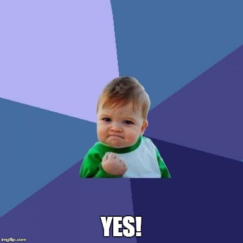 Success Kid Meme | YES! | image tagged in memes,success kid | made w/ Imgflip meme maker