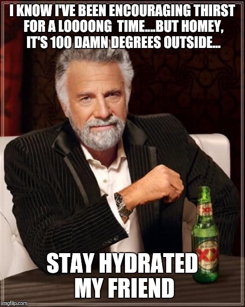 The Most Interesting Man In The World Meme | I KNOW I'VE BEEN ENCOURAGING THIRST FOR A LOOOONG  TIME....BUT HOMEY, IT'S 100 DAMN DEGREES OUTSIDE... STAY HYDRATED MY FRIEND | image tagged in memes,the most interesting man in the world | made w/ Imgflip meme maker