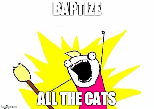 X All The Y Meme | BAPTIZE ALL THE CATS | image tagged in memes,x all the y | made w/ Imgflip meme maker