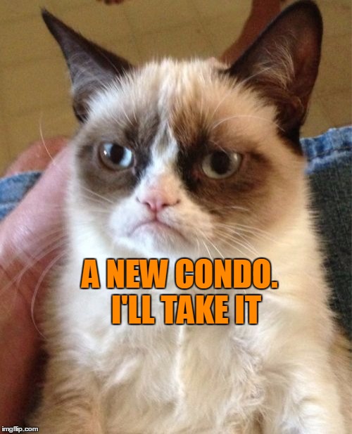 Grumpy Cat Meme | A NEW CONDO.  I'LL TAKE IT | image tagged in memes,grumpy cat | made w/ Imgflip meme maker