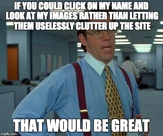 That Would Be Great |  IF YOU COULD CLICK ON MY NAME AND LOOK AT MY IMAGES RATHER THAN LETTING THEM USELESSLY CLUTTER UP THE SITE; THAT WOULD BE GREAT | image tagged in memes,that would be great | made w/ Imgflip meme maker