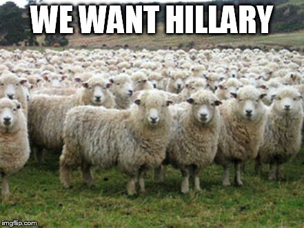 Hillary Suporters | WE WANT HILLARY | image tagged in hillary suporters | made w/ Imgflip meme maker