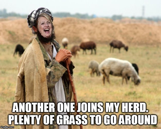 Hillary Sheep Herder | ANOTHER ONE JOINS MY HERD.  PLENTY OF GRASS TO GO AROUND | image tagged in hillary sheep herder | made w/ Imgflip meme maker
