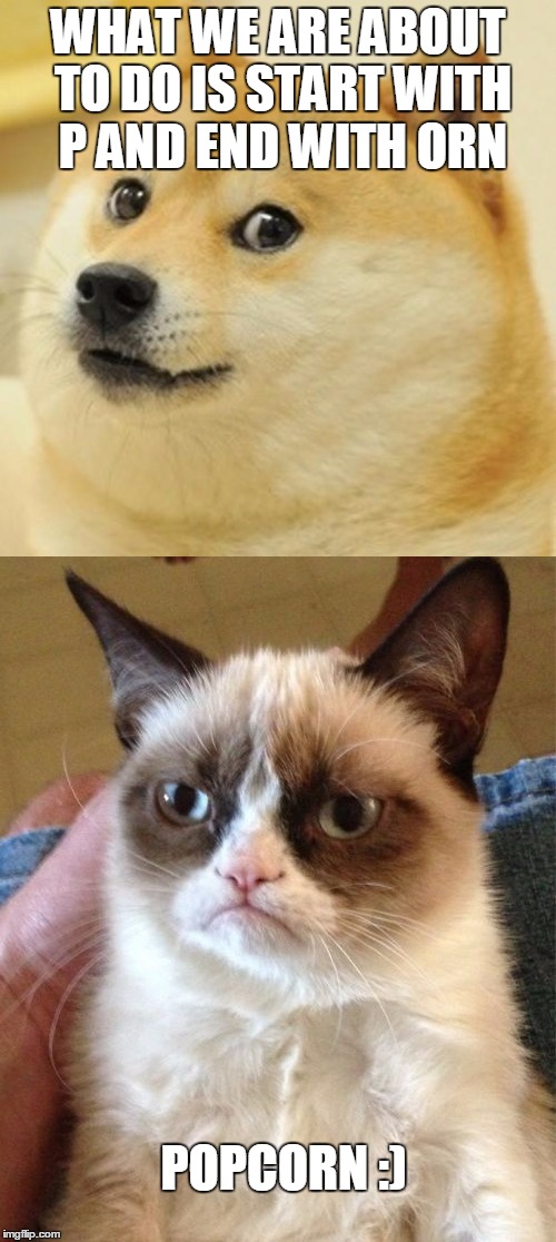 Popcorn | WHAT WE ARE ABOUT TO DO IS START WITH P AND END WITH ORN; POPCORN :) | image tagged in popcorn,start with what,cat,grumpy cat,dog,bad pun dog | made w/ Imgflip meme maker