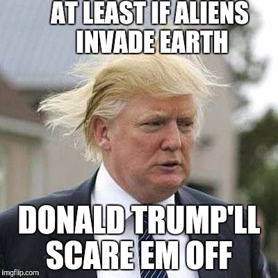 Donald Trump | AT LEAST IF ALIENS INVADE EARTH; DONALD TRUMP'LL SCARE EM OFF | image tagged in donald trump | made w/ Imgflip meme maker