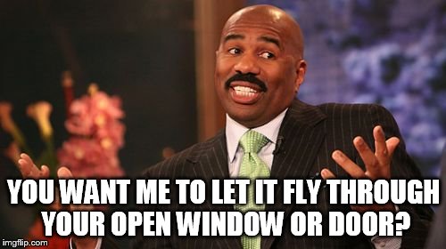 YOU WANT ME TO LET IT FLY THROUGH YOUR OPEN WINDOW OR DOOR? | image tagged in memes,steve harvey | made w/ Imgflip meme maker