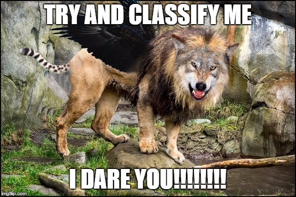 TRY AND CLASSIFY ME I DARE YOU!!!!!!!! | made w/ Imgflip meme maker
