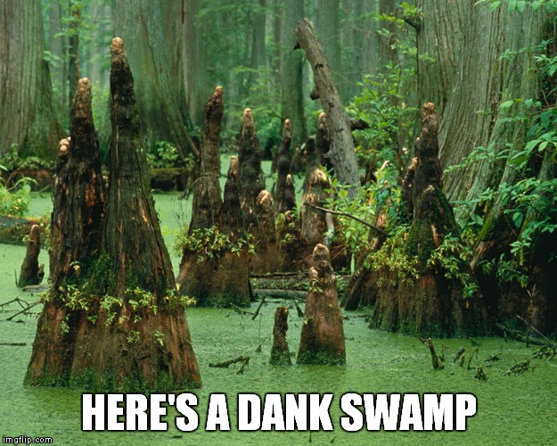 HERE'S A DANK SWAMP | made w/ Imgflip meme maker