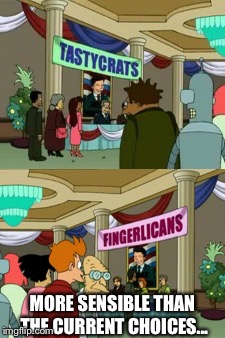 The Future Looks Brighter | MORE SENSIBLE THAN THE CURRENT CHOICES... | image tagged in election 2016,futurama | made w/ Imgflip meme maker