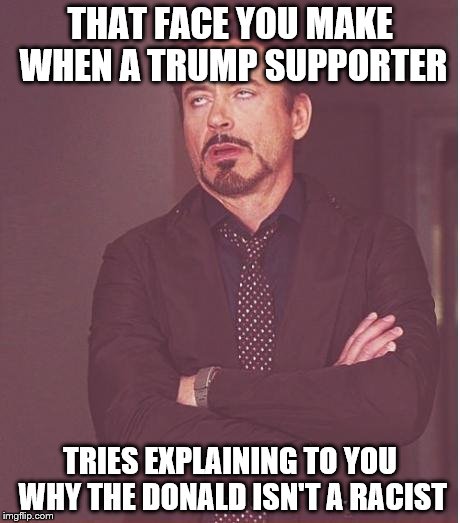 Face You Make Robert Downey Jr | THAT FACE YOU MAKE WHEN A TRUMP SUPPORTER; TRIES EXPLAINING TO YOU WHY THE DONALD ISN'T A RACIST | image tagged in memes,face you make robert downey jr | made w/ Imgflip meme maker