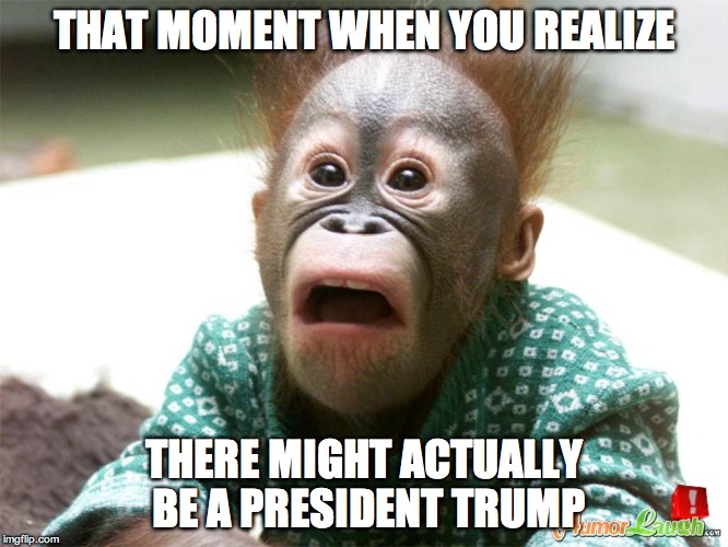 President Trump? | THAT MOMENT WHEN YOU REALIZE; THERE MIGHT ACTUALLY BE A PRESIDENT TRUMP | image tagged in trump,monkey,animals,president,presidential race,election 2016 | made w/ Imgflip meme maker