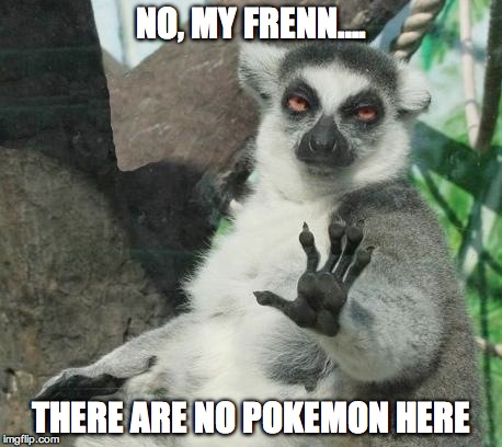 No Pokemon Here My Frenn... | NO, MY FRENN…. THERE ARE NO POKEMON HERE | image tagged in pokemon,pokemon go,animals,funny animals | made w/ Imgflip meme maker
