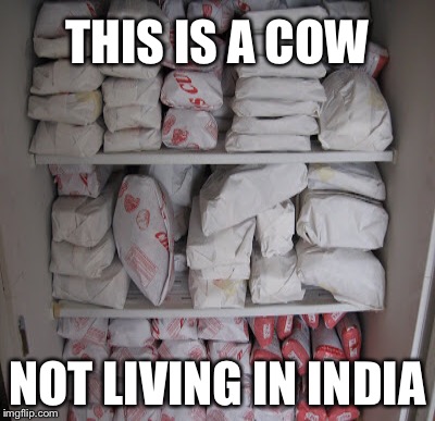 THIS IS A COW NOT LIVING IN INDIA | made w/ Imgflip meme maker