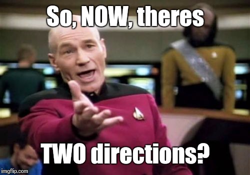 Picard Wtf Meme | So, NOW, theres TWO directions? | image tagged in memes,picard wtf | made w/ Imgflip meme maker