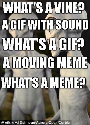 Alien Conversation | WHAT'S A VINE? A GIF WITH SOUND; WHAT'S A GIF? A MOVING MEME; WHAT'S A MEME? | image tagged in alien conversation | made w/ Imgflip meme maker