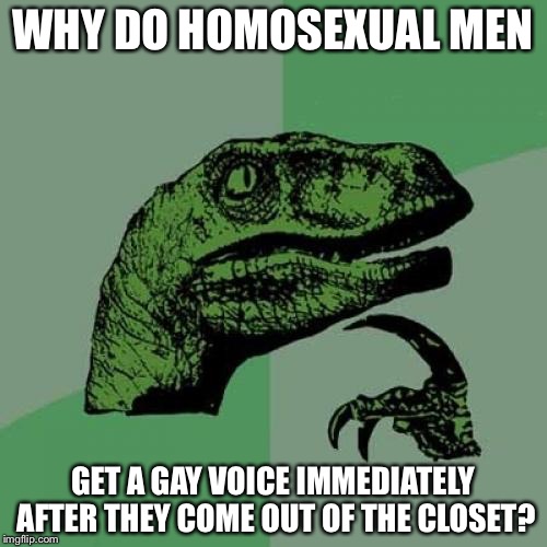Philosoraptor Meme | WHY DO HOMOSEXUAL MEN; GET A GAY VOICE IMMEDIATELY AFTER THEY COME OUT OF THE CLOSET? | image tagged in memes,philosoraptor | made w/ Imgflip meme maker
