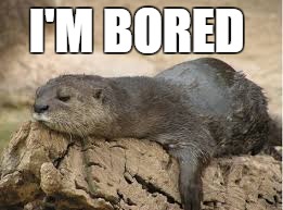I'M BORED | image tagged in bored otter | made w/ Imgflip meme maker