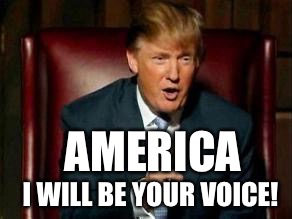 Donald Trump | AMERICA; I WILL BE YOUR VOICE! | image tagged in donald trump | made w/ Imgflip meme maker