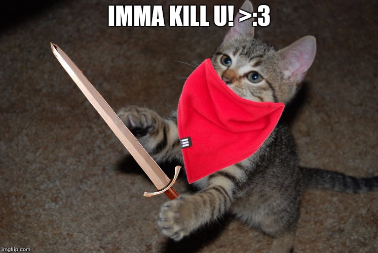Dangerous kitty | IMMA KILL U! >:3 | image tagged in cat,cute cat,evil cat | made w/ Imgflip meme maker