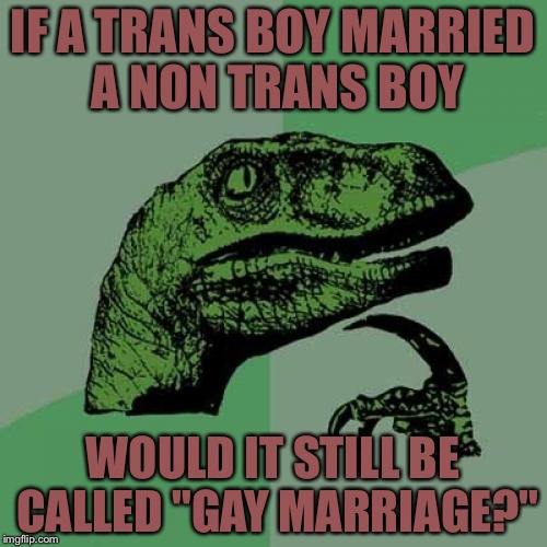 Philosoraptor Meme | IF A TRANS BOY MARRIED A NON TRANS BOY; WOULD IT STILL BE CALLED "GAY MARRIAGE?" | image tagged in memes,philosoraptor | made w/ Imgflip meme maker