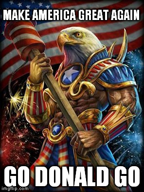 Muh Eagle | MAKE AMERICA GREAT AGAIN; GO DONALD GO | image tagged in muh eagle | made w/ Imgflip meme maker