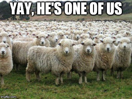 Hillary Supporters | YAY, HE'S ONE OF US | image tagged in hillary supporters | made w/ Imgflip meme maker