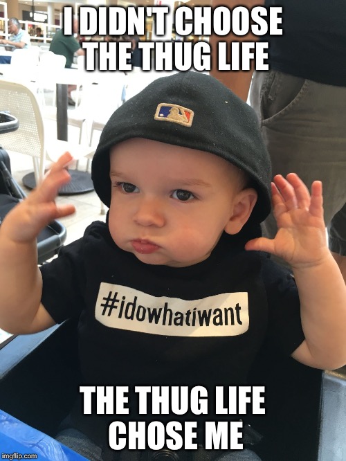 I DIDN'T CHOOSE THE THUG LIFE; THE THUG LIFE CHOSE ME | image tagged in baby thug | made w/ Imgflip meme maker