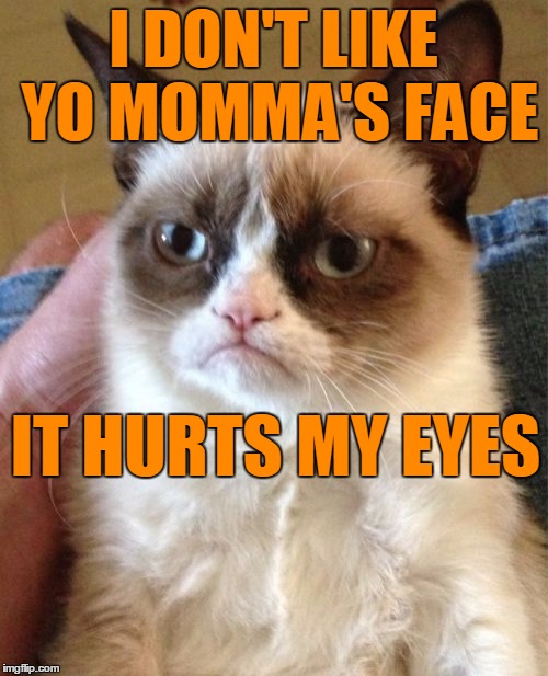 Grumpy Cat Meme | I DON'T LIKE YO MOMMA'S FACE IT HURTS MY EYES | image tagged in memes,grumpy cat | made w/ Imgflip meme maker