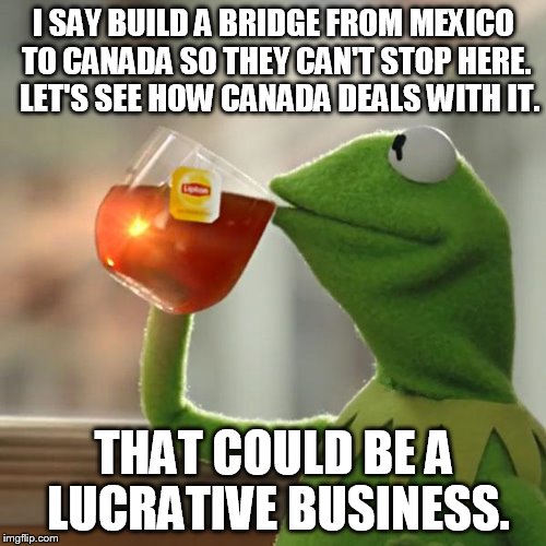 But That's None Of My Business Meme | I SAY BUILD A BRIDGE FROM MEXICO TO CANADA SO THEY CAN'T STOP HERE.  LET'S SEE HOW CANADA DEALS WITH IT. THAT COULD BE A LUCRATIVE BUSINESS. | image tagged in memes,but thats none of my business,kermit the frog | made w/ Imgflip meme maker