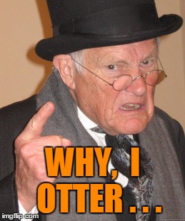 Back In My Day Meme | WHY,  I  OTTER . . . | image tagged in memes,back in my day | made w/ Imgflip meme maker
